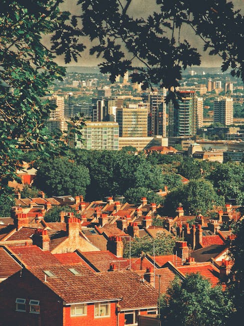 A cityscape view of densely packed red brick terraced houses with chimneys, situated in the foreground beneath overhanging tree branches. Beyond the residential area, there is a mix of green spaces an